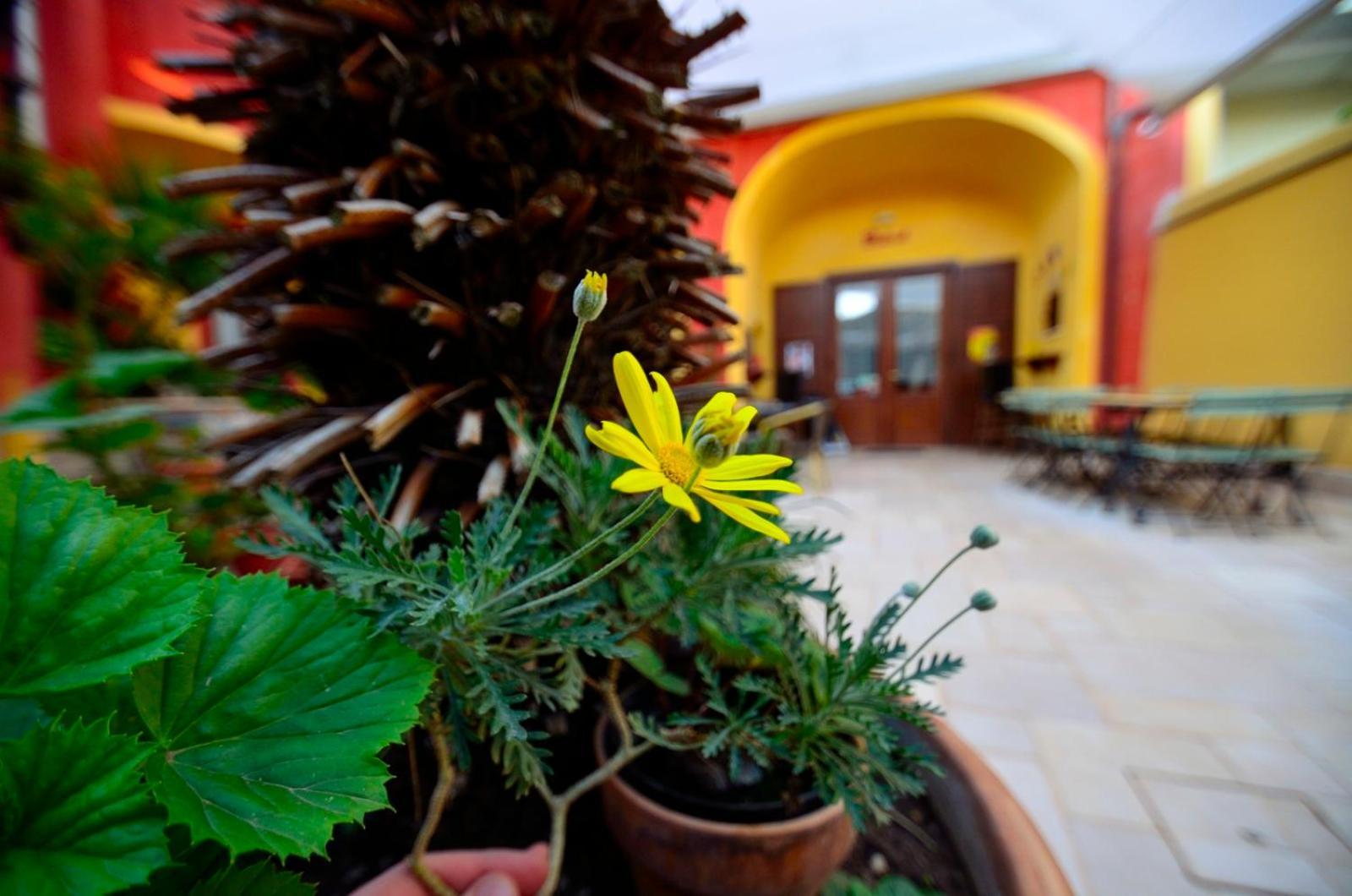 Manouche Affittacamere Osteria Caserta Dış mekan fotoğraf